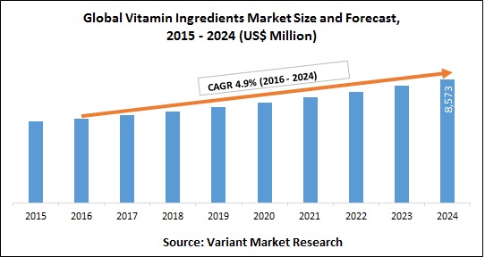 Global Vitamin Ingredients Market Size and Forecast, 2015 - 2024